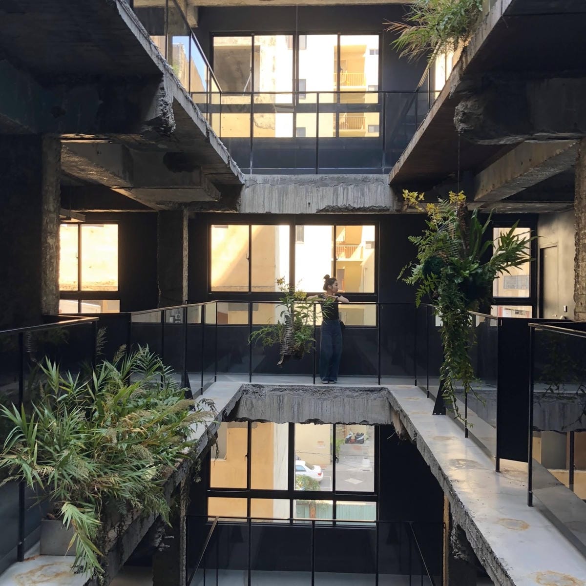 S__137322505.jpg