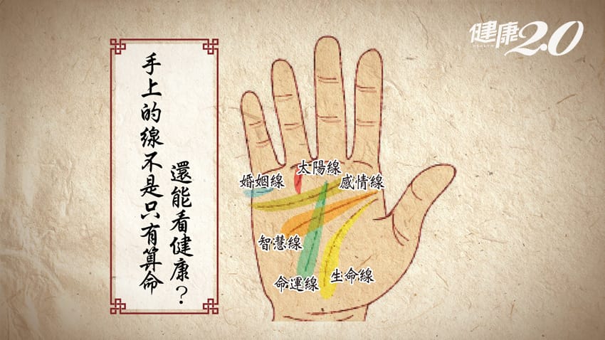掌紋看健康!快看你的「生命線」有多長,原來它代表… 掌紋看健康!快看你的「生命線」有多長,原來它代表…