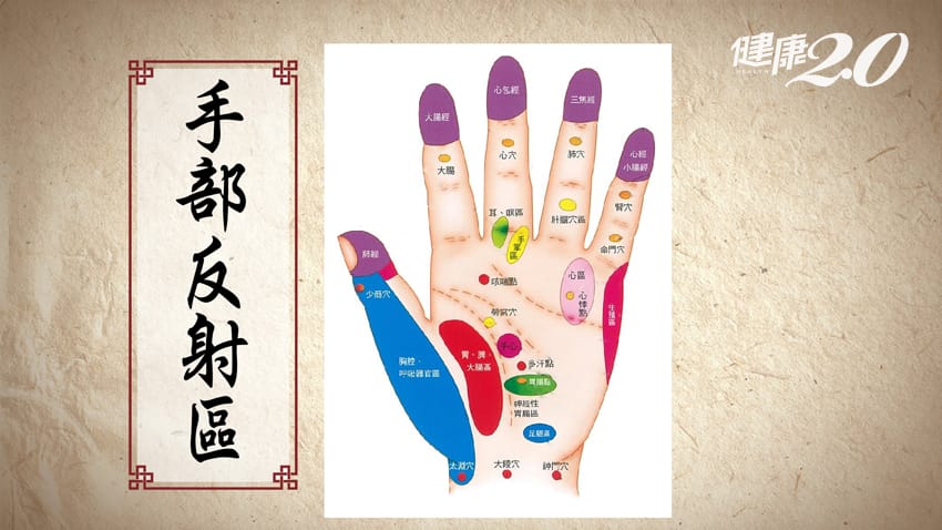 掌紋看健康!快看你的「生命線」有多長,原來它代表… 掌紋看健康!快看你的「生命線」有多長,原來它代表…