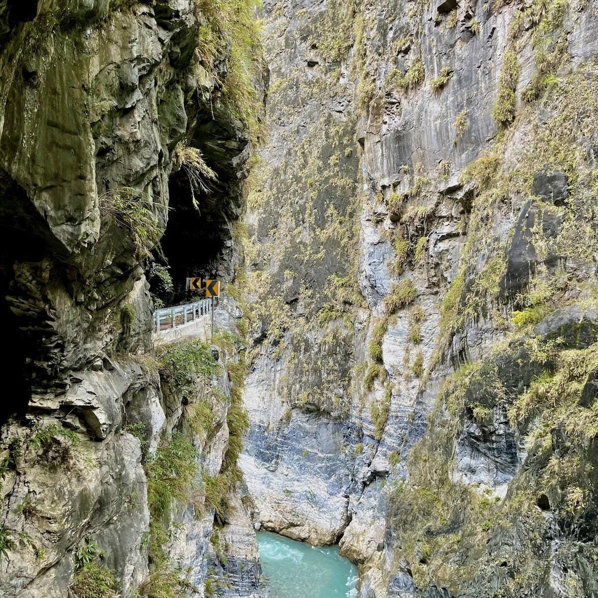 S__239894536.jpg