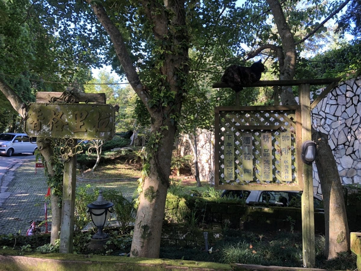 S__344981510.jpg