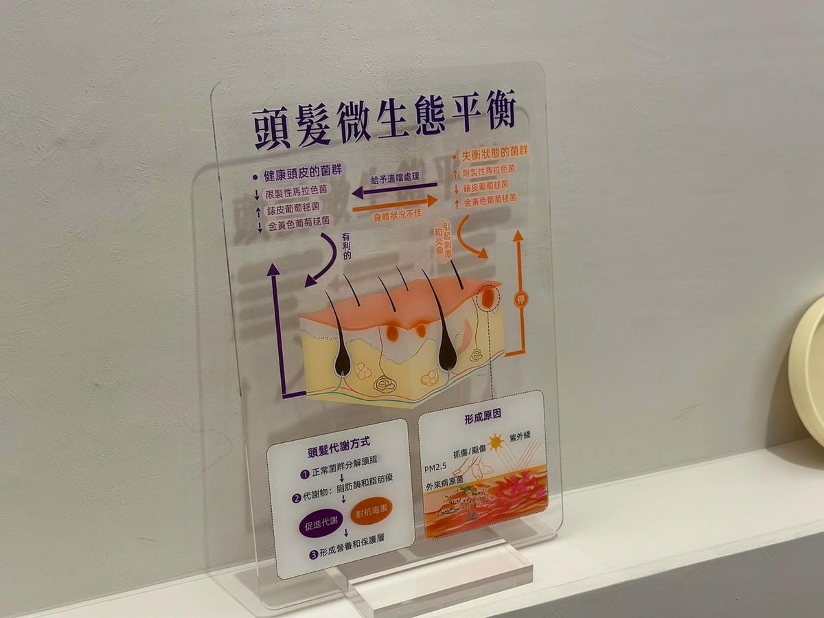 沉浸式頂級育髮松山區頭皮養護推薦：如何擁有健康頭皮｜六厘米 