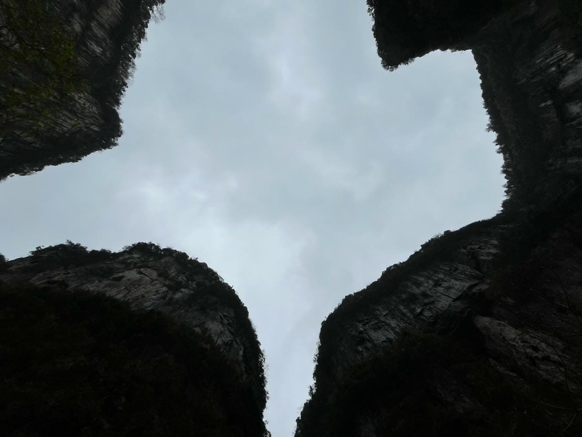 五天暢玩重慶：在仙女山賞雪，在洪崖洞看景，在解放碑打卡（上）