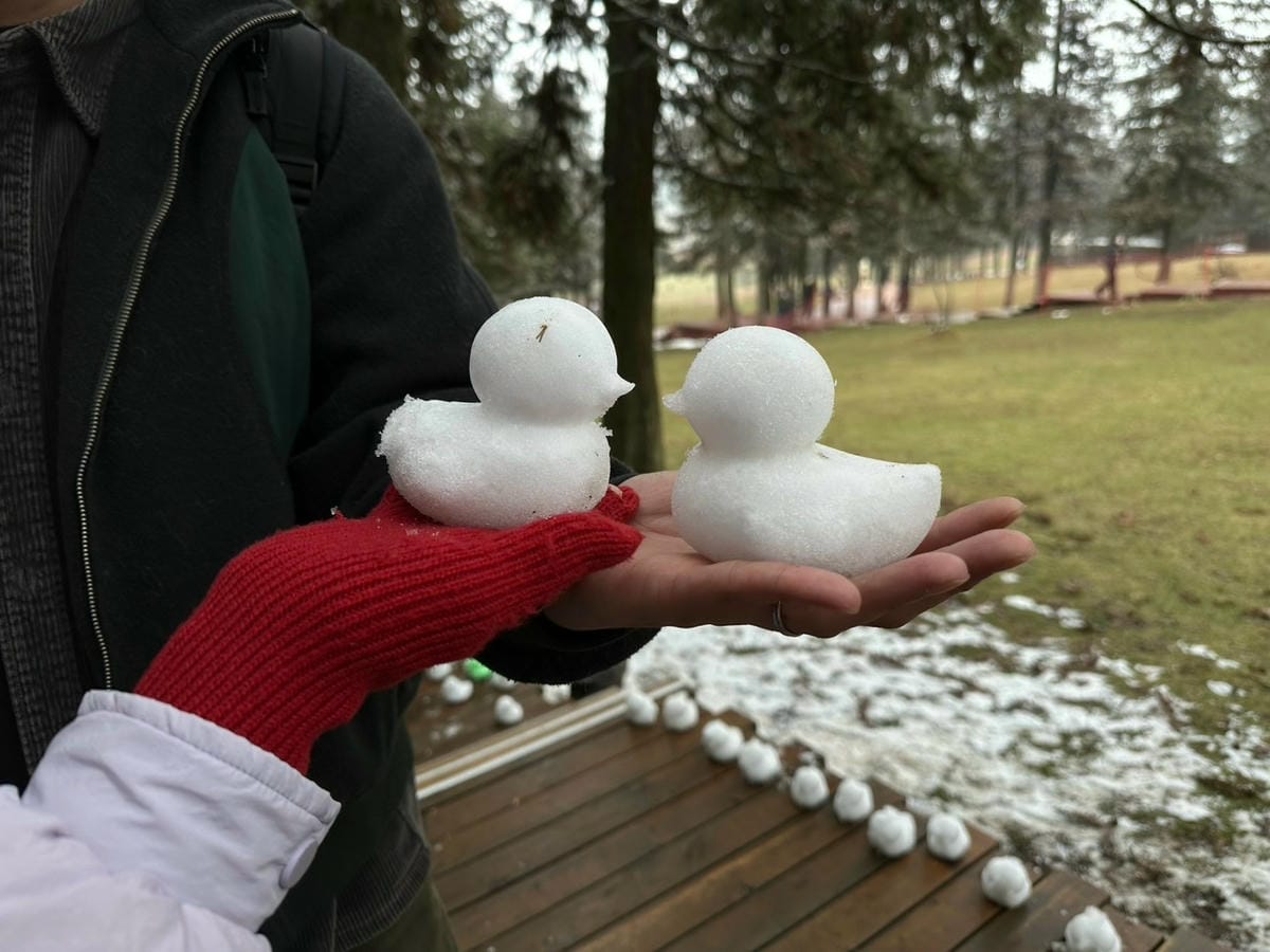 五天暢玩重慶：在仙女山賞雪，在洪崖洞看景，在解放碑打卡（上）