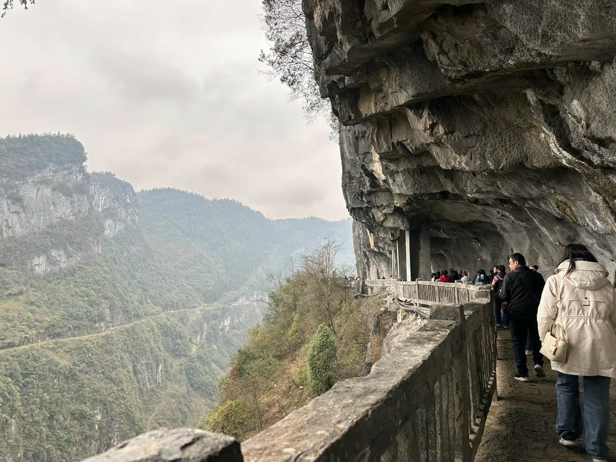 五天暢玩重慶：在仙女山賞雪，在洪崖洞看景，在解放碑打卡（上）